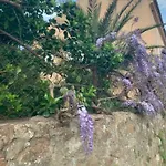 Les Rosiers - Garance *