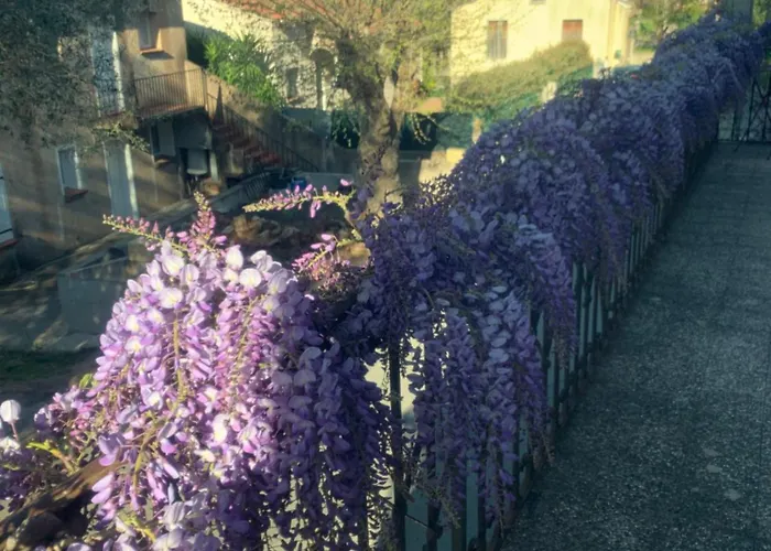 Panzió Les Rosiers - Garance