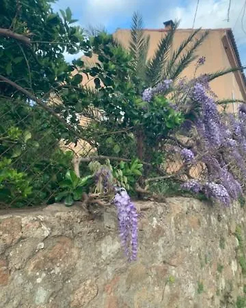 - Les Rosiers - Corse - Garance *