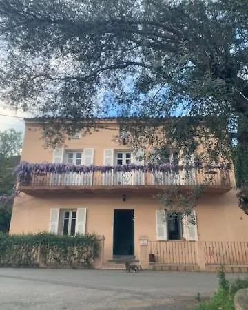 - Les Rosiers - Corse - Garance Conca
