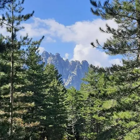Les Rosiers - Garance * Conca