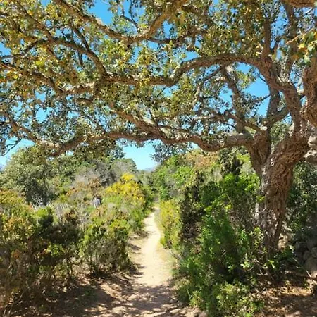 Bed & Breakfast - Les Rosiers - Corse - Garance