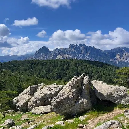 Bed & Breakfast - Les Rosiers - Corse - Garance *