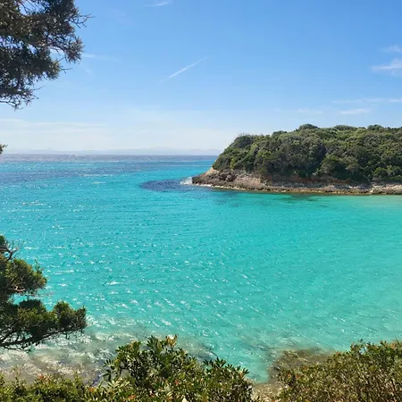 Les Rosiers - Garance *