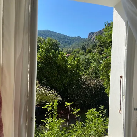 Bed & Breakfast - Les Rosiers - Corse - Garance