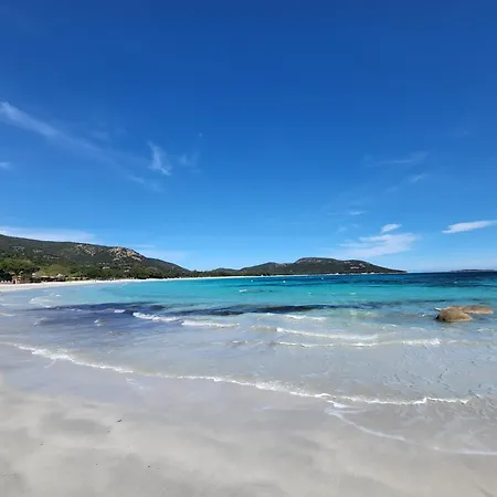 - Les Rosiers - Corse - Garance Bed & Breakfast *