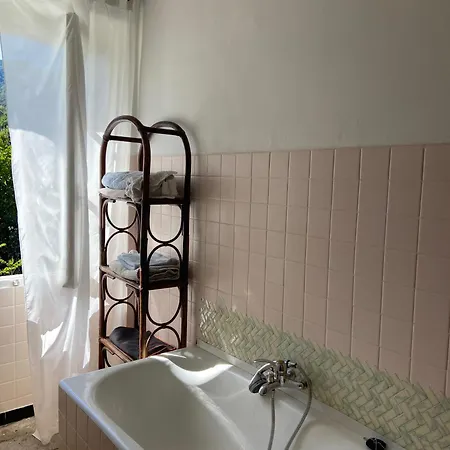 Les Rosiers - Garance *