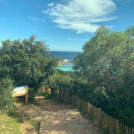 Les Rosiers - Garance * Conca