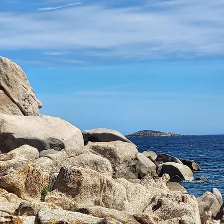- Les Rosiers - Corse - Garance