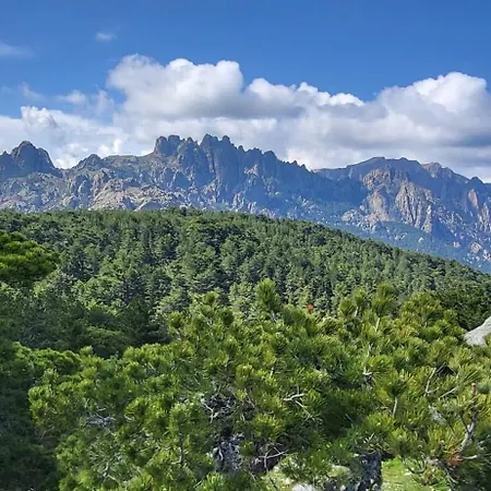 - Les Rosiers - Corse - Garance