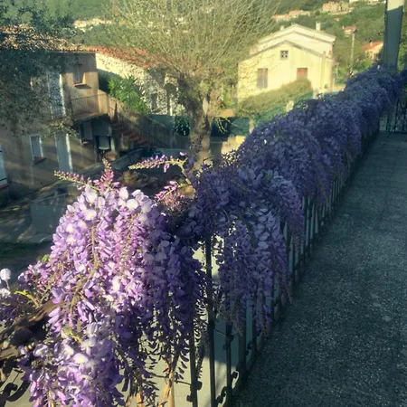 Bed & Breakfast - Les Rosiers - Corse - Garance