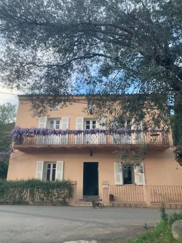 - Les Rosiers - Corse - Garance Conca