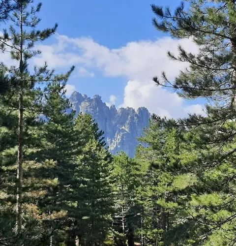 Les Rosiers - Garance * كونكا