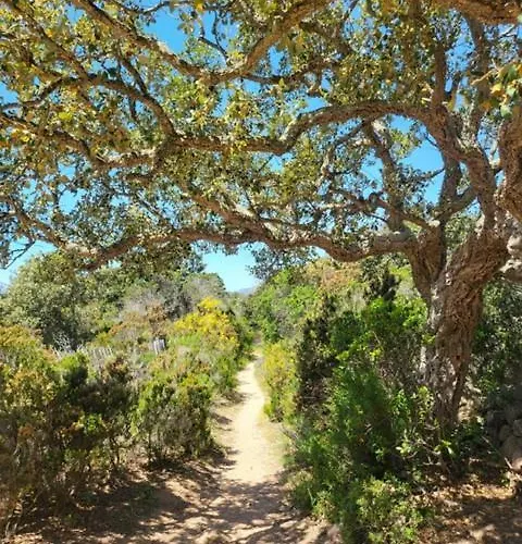 فندق مبيت وإفطار Les Rosiers - Garance