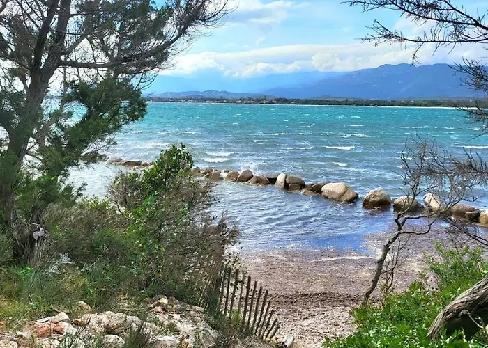 Les Rosiers - Garance * كونكا