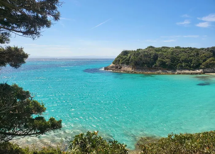 Les Rosiers - Garance *