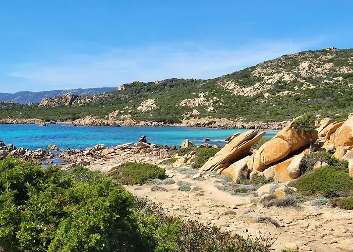 - Les Rosiers - Corse - Garance Conca