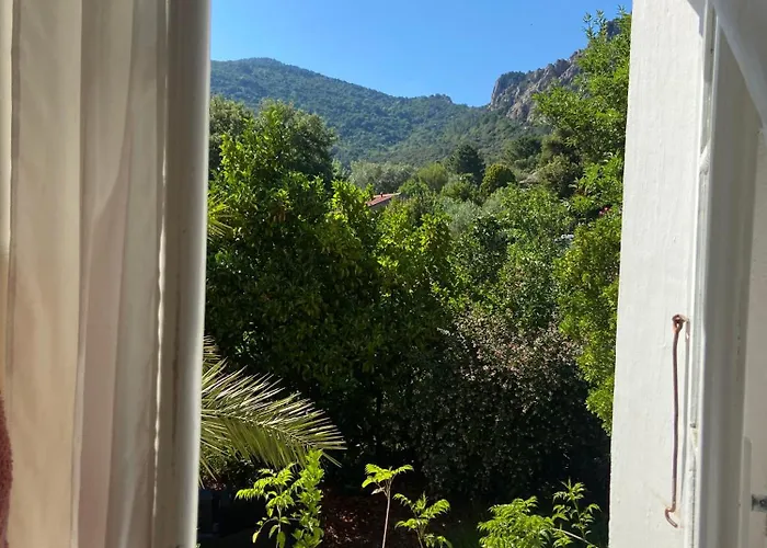 Couette-café - Les Rosiers - Corse - Garance