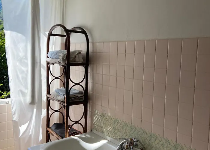 Les Rosiers - Garance *