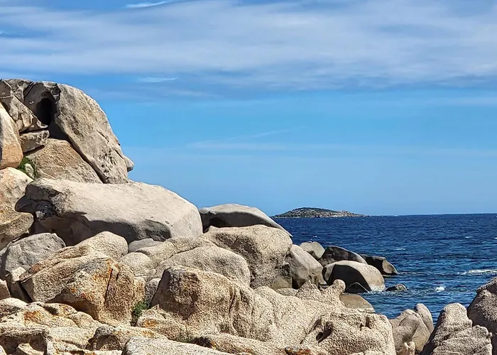 - Les Rosiers - Corse - Garance