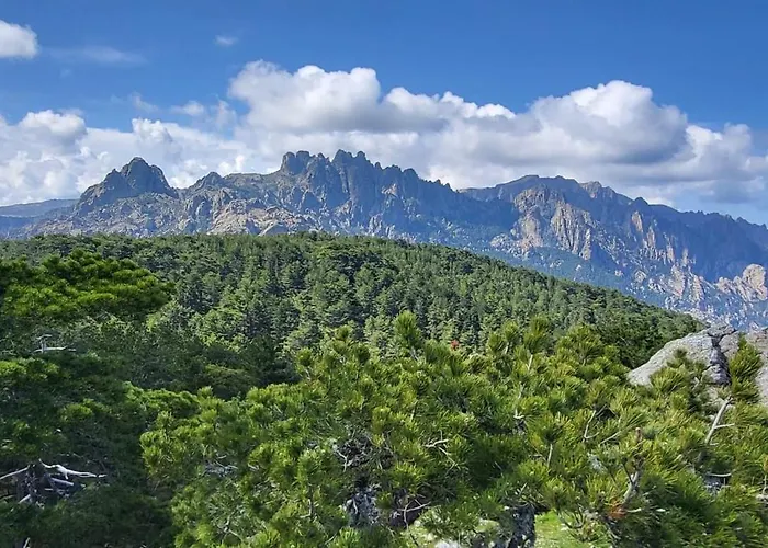 - Les Rosiers - Corse - Garance